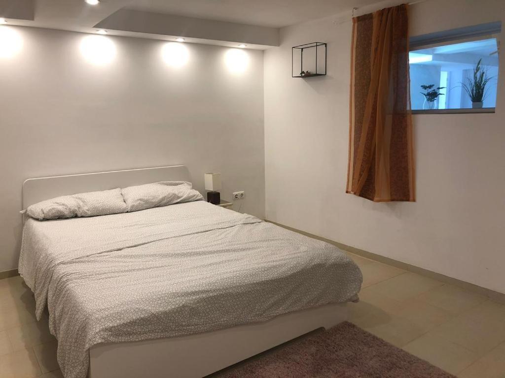 Bescheidene Untergeschoss Wohnung In Guter Lage. Cologne Exterior photo